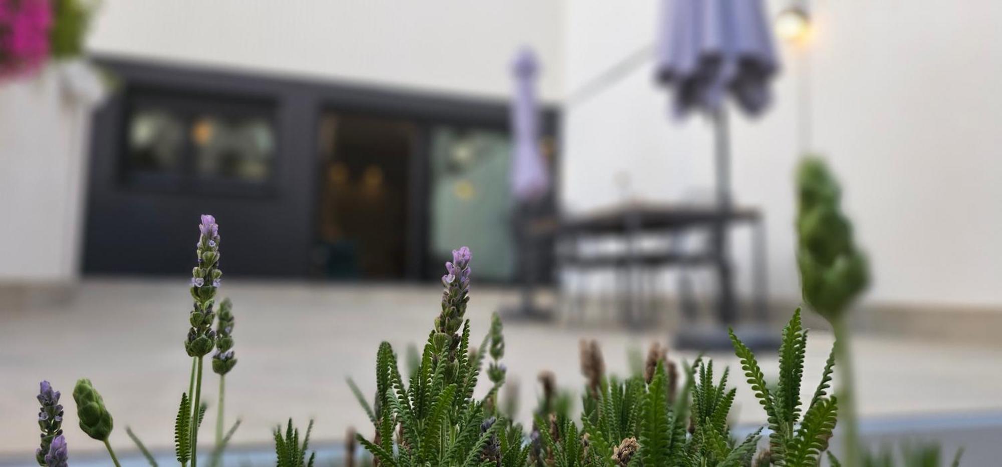 Albayda Garden Daire Granada Dış mekan fotoğraf